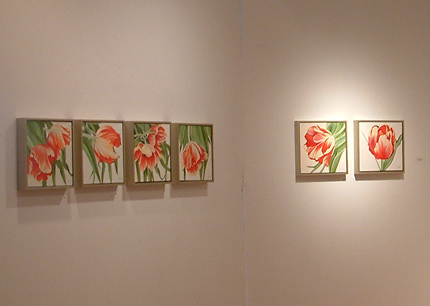 Installation shot of Caroline Seguins 'Jardins Sauvages' exhibition at WKP Kennedy Gallery